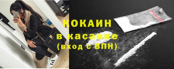 твердый Михайловск