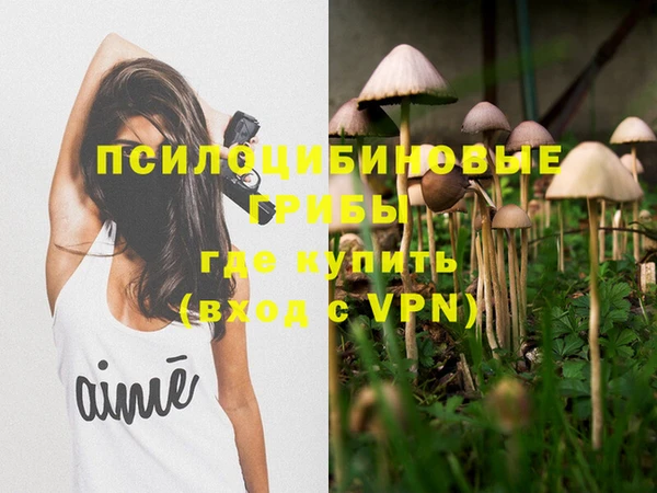 молекула духа Михайлов
