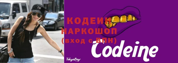 молекула духа Михайлов