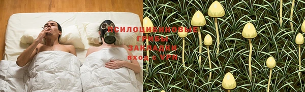 твердый Михайловск