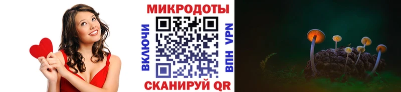 магазин продажи наркотиков  Торопец  Галлюциногенные грибы Psilocybe 