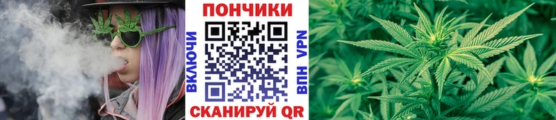 Бошки Шишки THC 21%  Торопец 